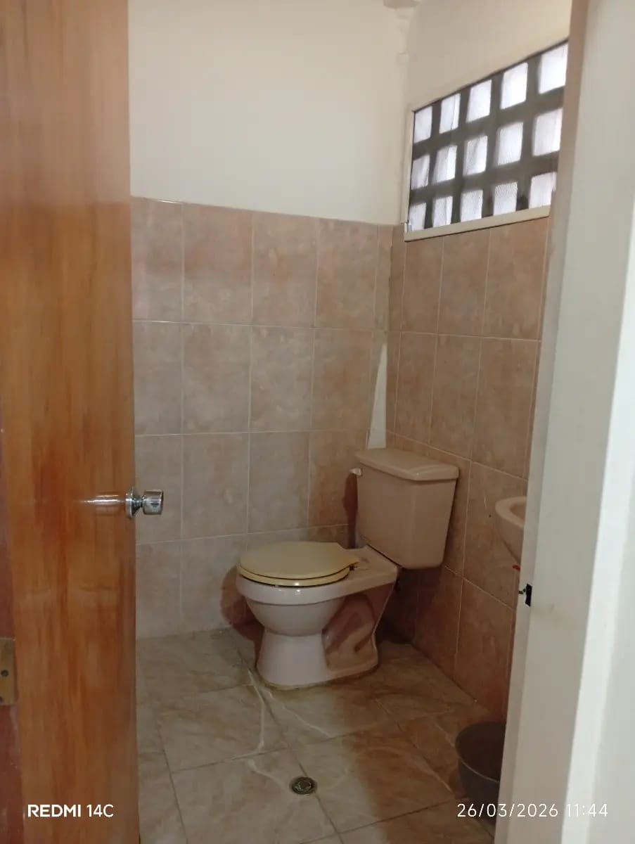 Locales comerciales y oficinas - 3