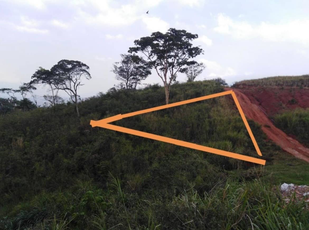Vendo Terreno Propio en Palo Palo Gordo de 173,2 m2