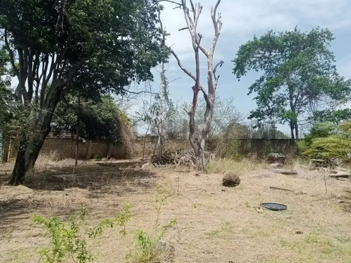 Terreno casa y negocio comercial - isla de Margarita - 14