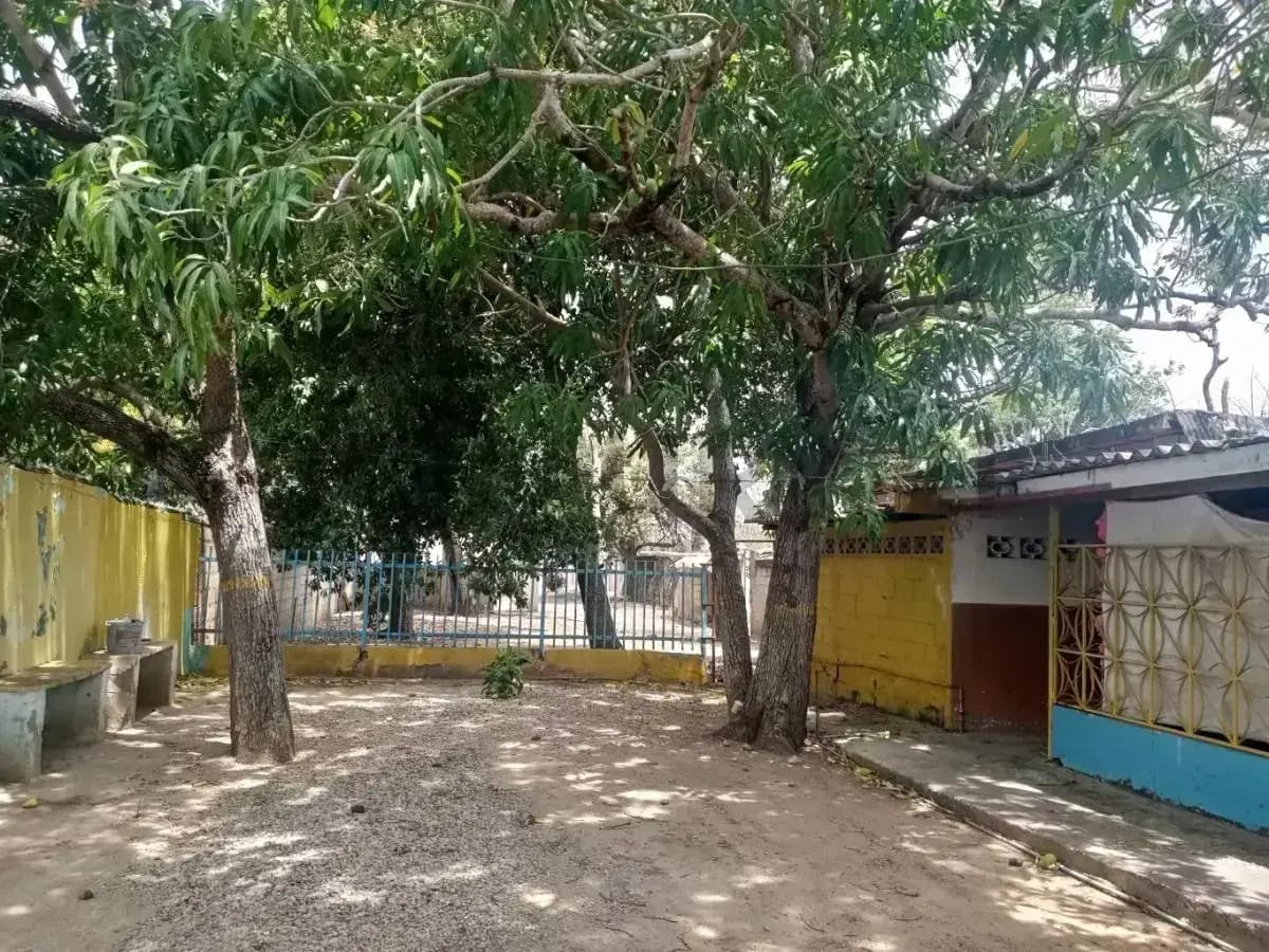 Terreno casa y negocio comercial - isla de Margarita - 3