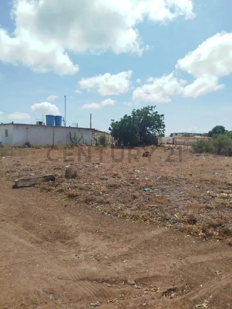 Terreno Ell Espinal , isla de Margarita - 3