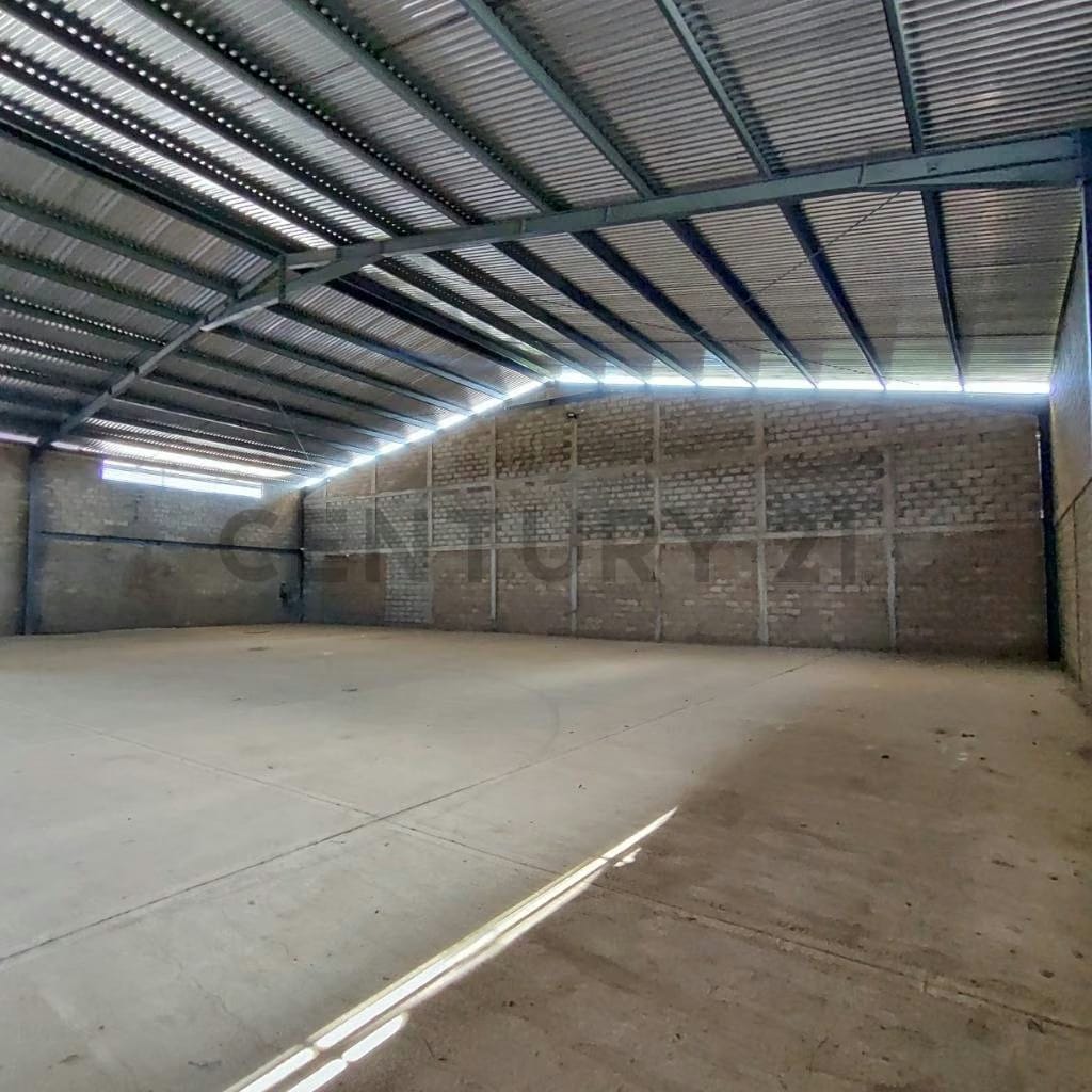 Alquiler de Galpones en Cond. Industrial Oasis Park - 7