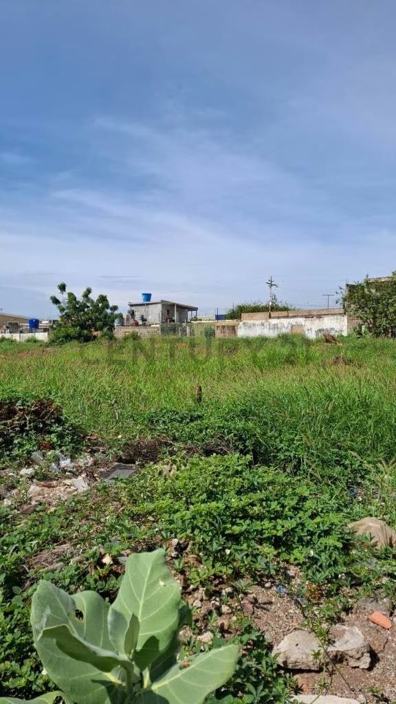 Se Vende Trreno Comercial en la Avenida Guajira Cerca del Sambil - 2