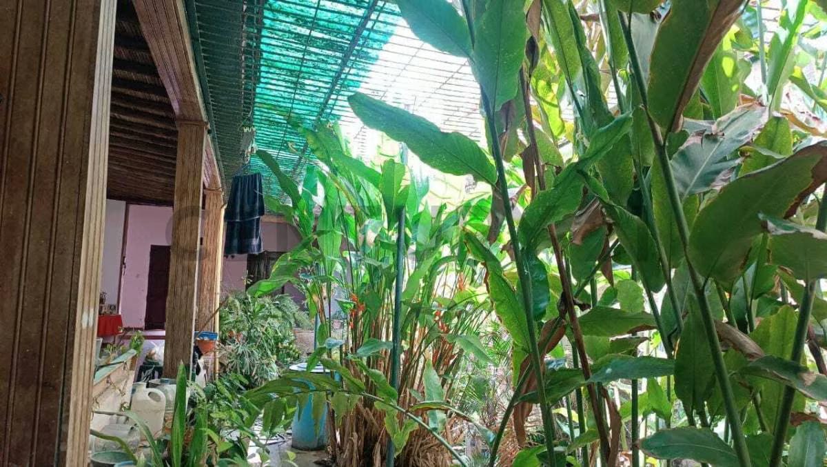 En venta Casa a orilla del mar en Pampatar - 5