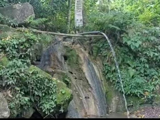 Mini Finca en venta en el Sector Pueblo Nuevo de la parroquia Guanaguana. - 11