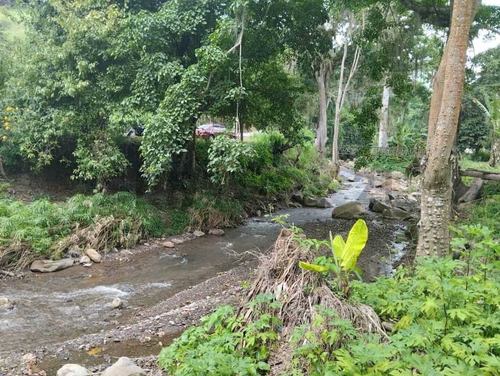 Mini Finca en venta en el Sector Pueblo Nuevo de la parroquia Guanaguana. - 12