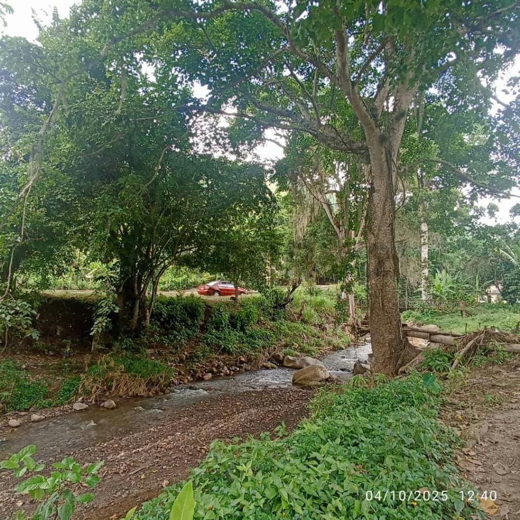 Mini Finca en venta en el Sector Pueblo Nuevo de la parroquia Guanaguana. - 3