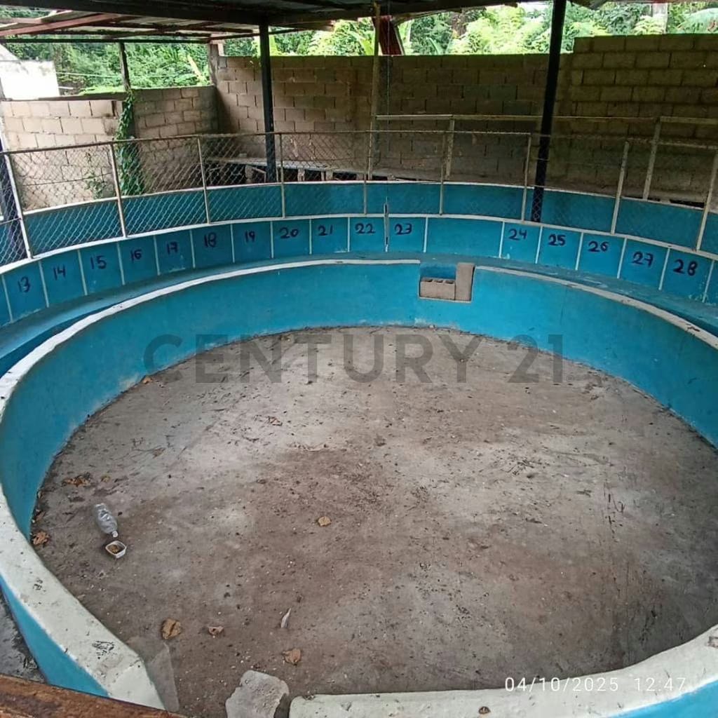 Mini Finca en venta en el Sector Pueblo Nuevo de la parroquia Guanaguana. - 5