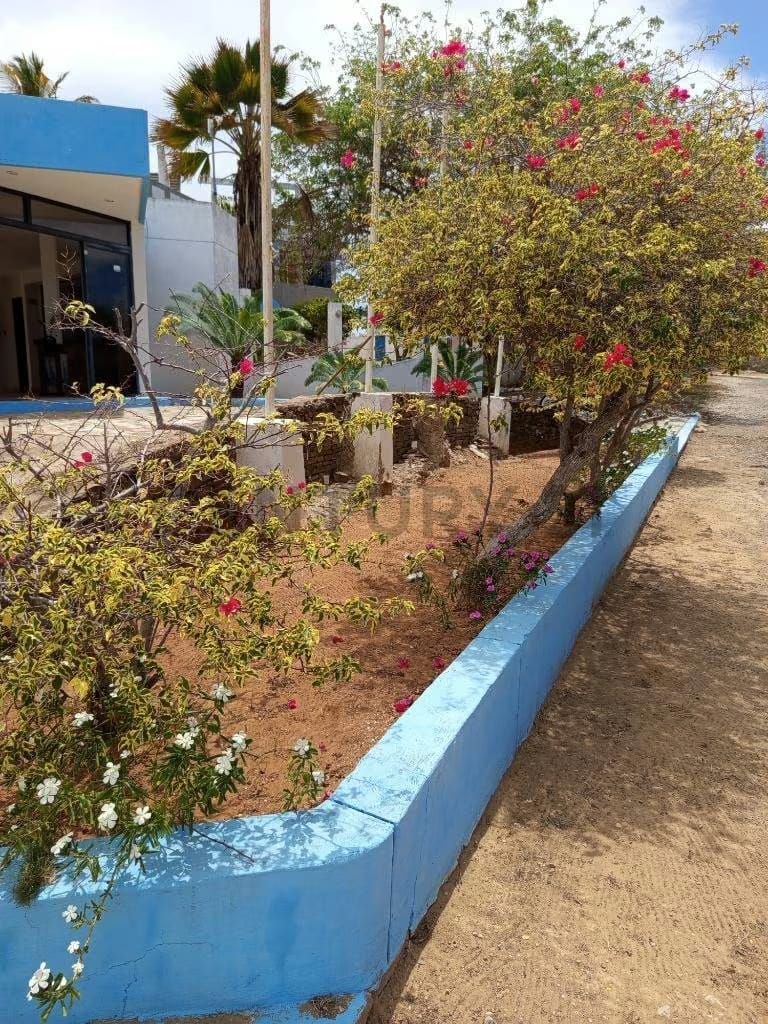 Hotel playa El Yaque - 26