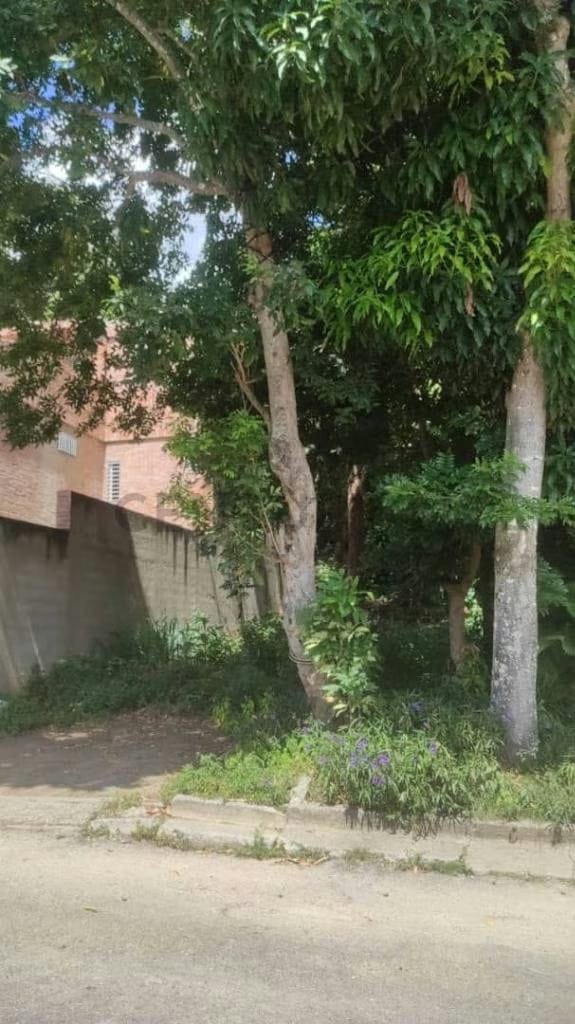Terreno en Venta en La Trinidad , Coracrevi