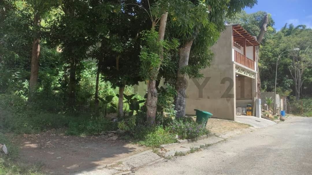 Terreno en Venta en La Trinidad , Coracrevi - 3