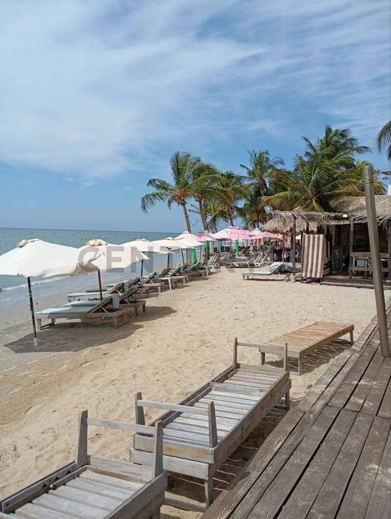 Club de Playa en el Yaque Tacamajaca - 6