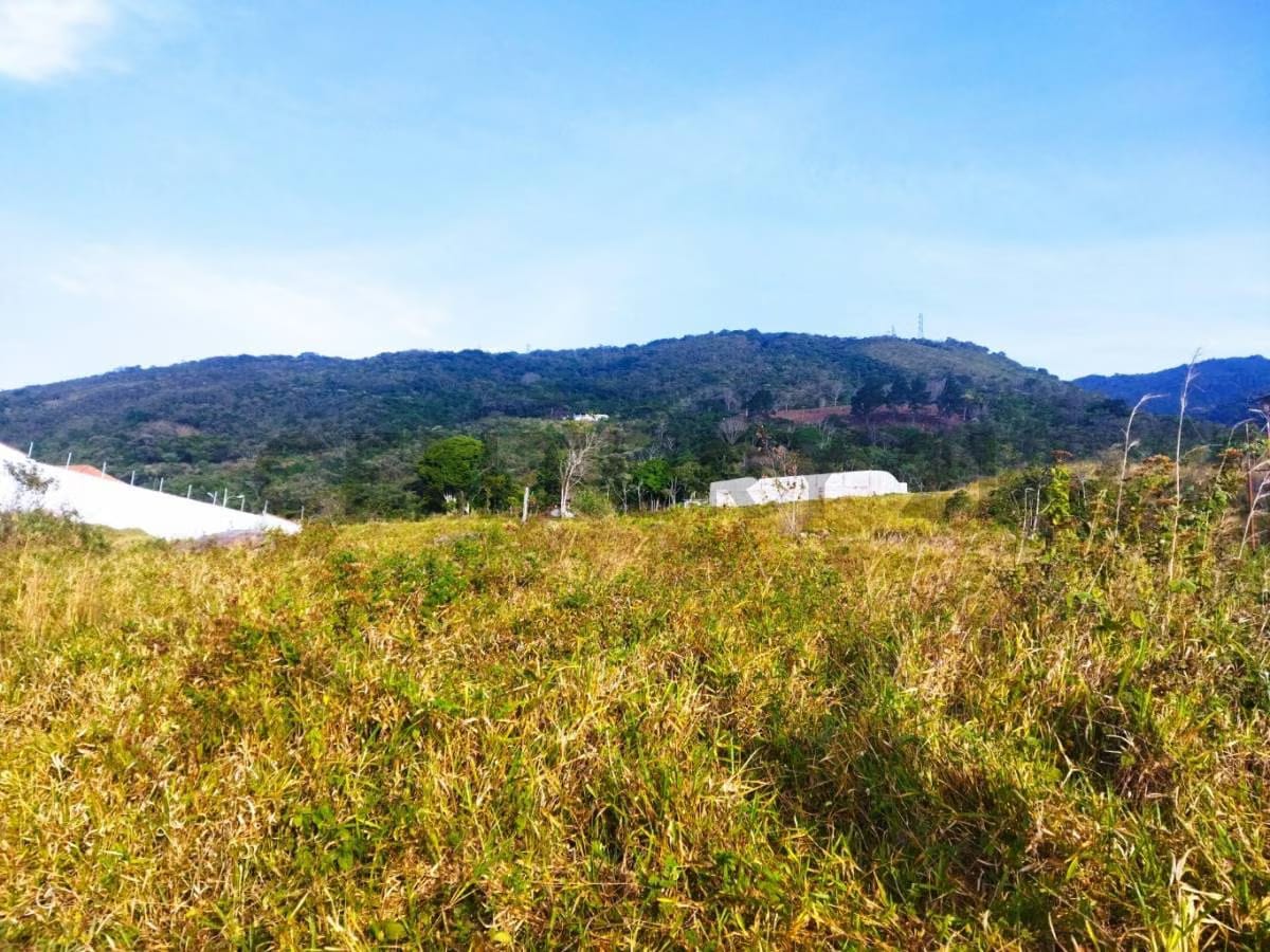 Urbanismo con encanto: terreno disponible para tu proyecto - 4