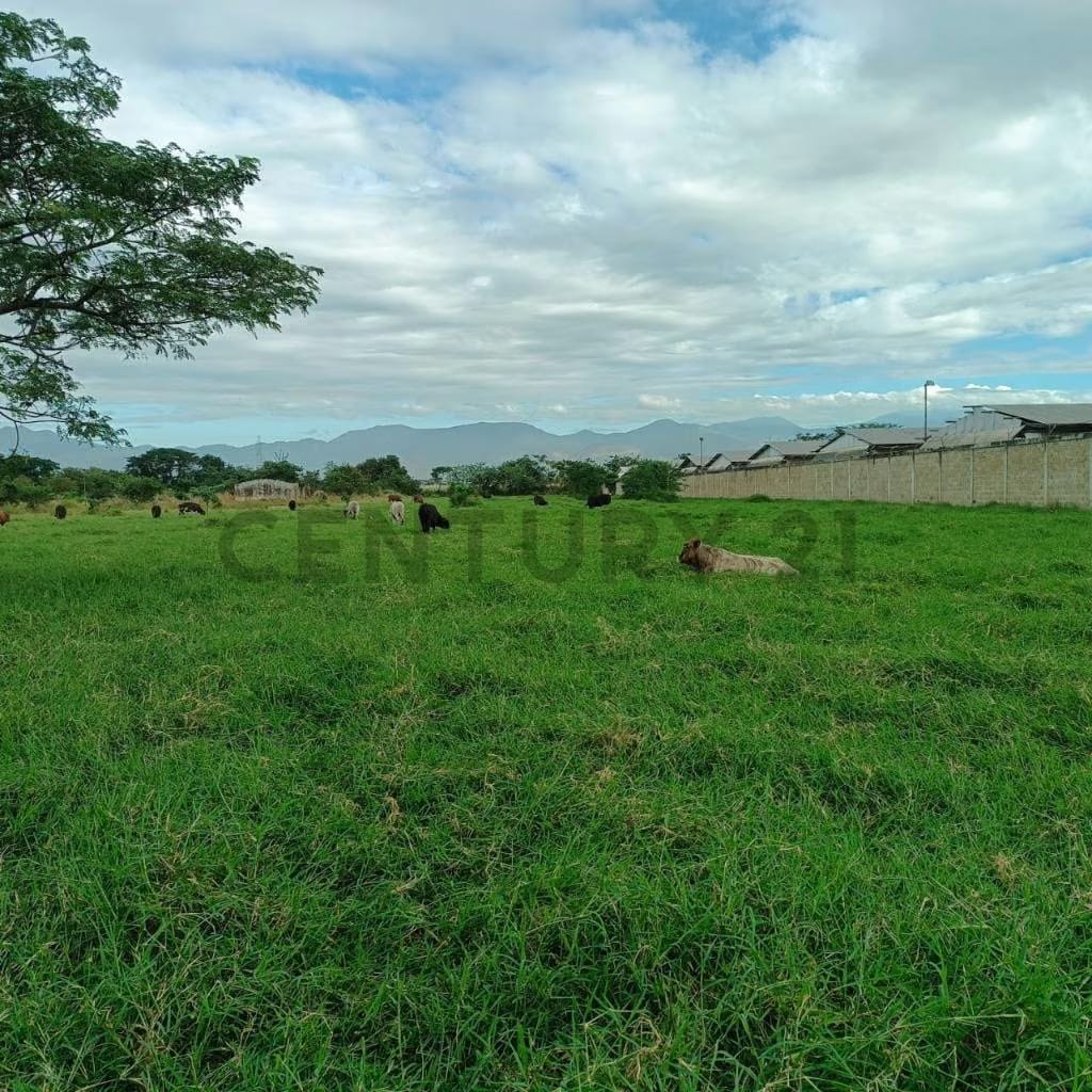 FINCA EN VENTA TURAGUA EDO ARAGUA 10HA TC