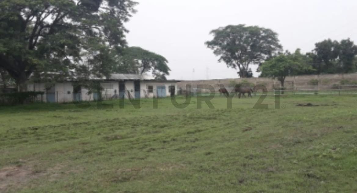 FINCA EN VENTA TURAGUA EDO ARAGUA 10HA TC - 12