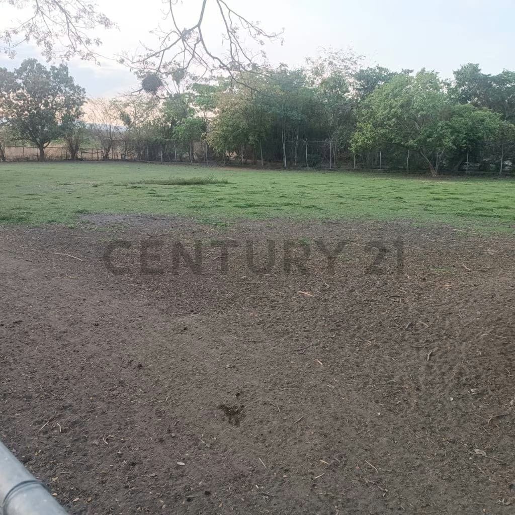 FINCA EN VENTA TURAGUA EDO ARAGUA 10HA TC - 14