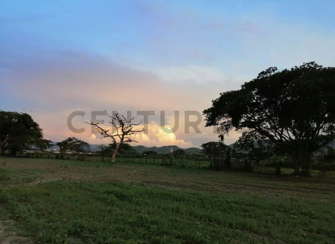 FINCA EN VENTA TURAGUA EDO ARAGUA 10HA TC - 23