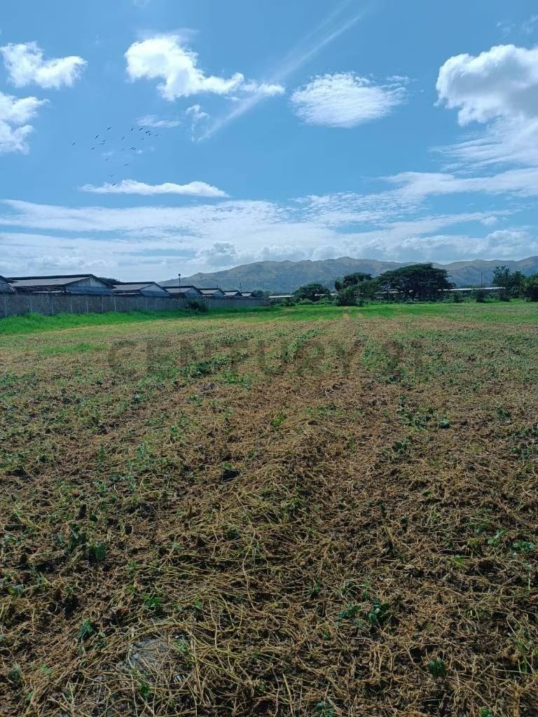 FINCA EN VENTA TURAGUA EDO ARAGUA 10HA TC - 7