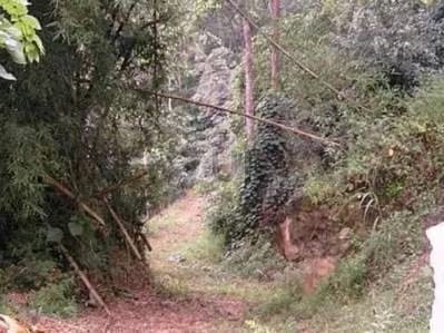 Monte Elena terreno Parcela en venta listo para su construcción Mun Baruta - 6