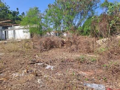 Terreno los Chacos - 5