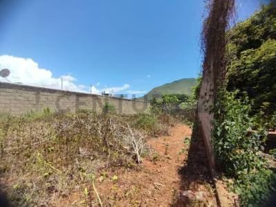 Terreno Principal Atamo Sur - 6