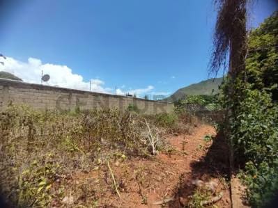 Terreno Principal Atamo Sur - 7