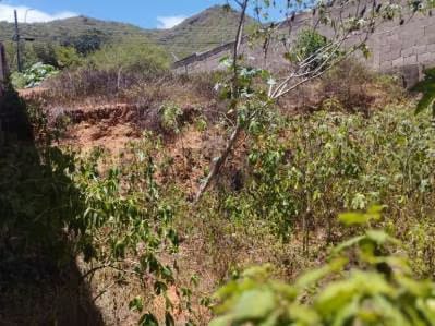 Terreno Principal Atamo Sur - 9