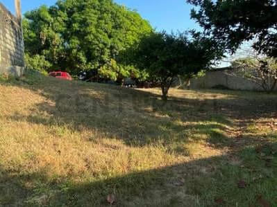 Mini Finca en venta - 8