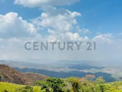 Finca AGROINDUSTRIAL Nirgua