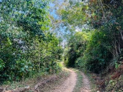 Finca AGROINDUSTRIAL Nirgua - 2