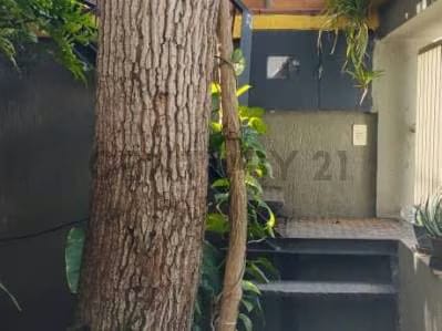 Cómodo anexo con vista al Ávila - 2