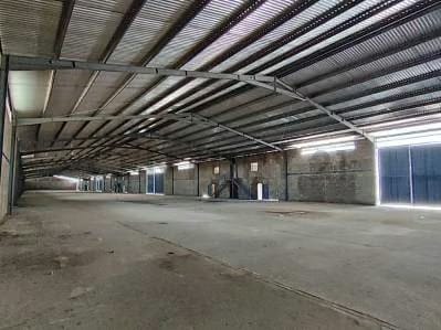 Alquiler de Galpones en Cond. Industrial Oasis Park - 6