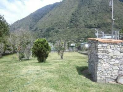 En Venta Casa Quinta en Pueblo Nuevo Sector La Flecha - 6