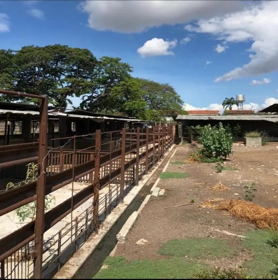 Terreno en Venta en Maracay - 6