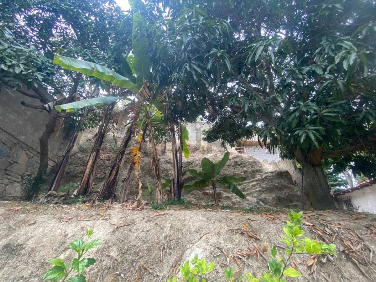 En Venta Casa para Remodelar en Lomas de La Trinidad - 10