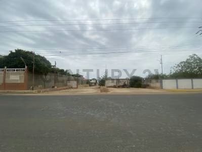 MUELLE ATRACADERO/TERRENO/GALPON EN SECTOR EL BAJO, MUNICIPIO SAN FRANCISCO - 2