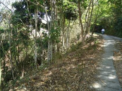 Venta en Los Robles terreno. Vigilancia 24/7 - 4