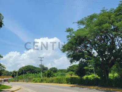 Venta de Terreno en Guacara - 2