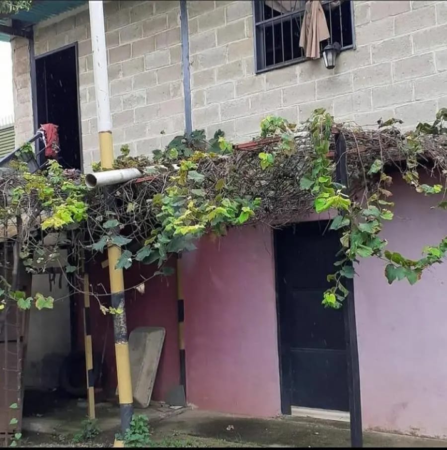 Terreno en Venta en Sector el Socorro Valencia Carabobo Tocuyito - 4