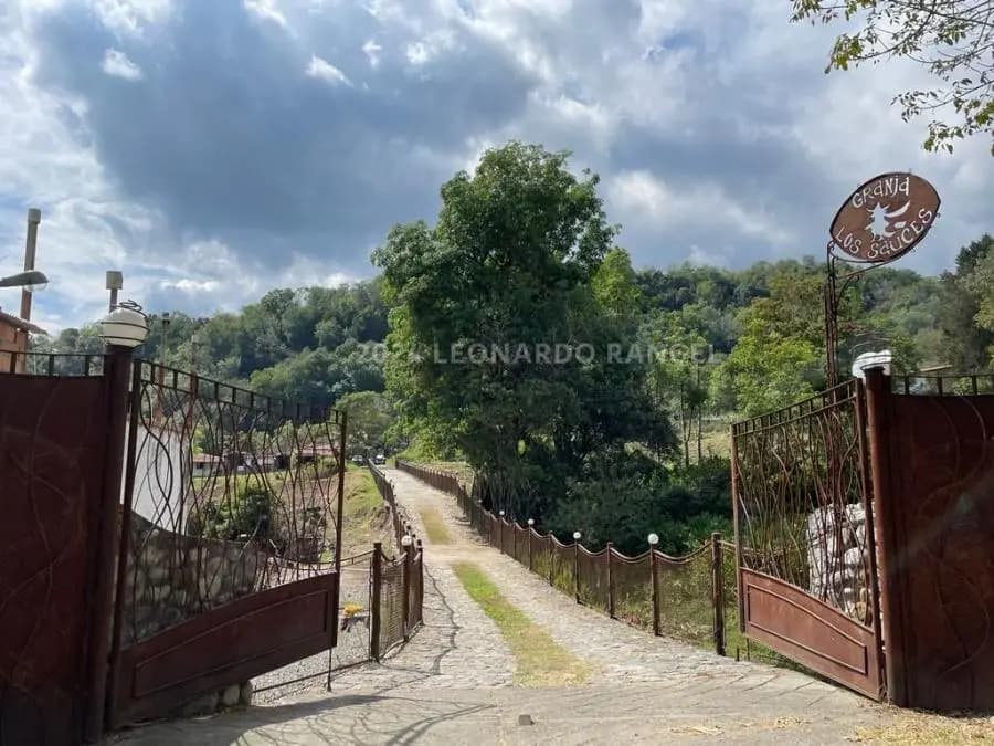 Terreno en Venta en El Valle, Mérida - 4