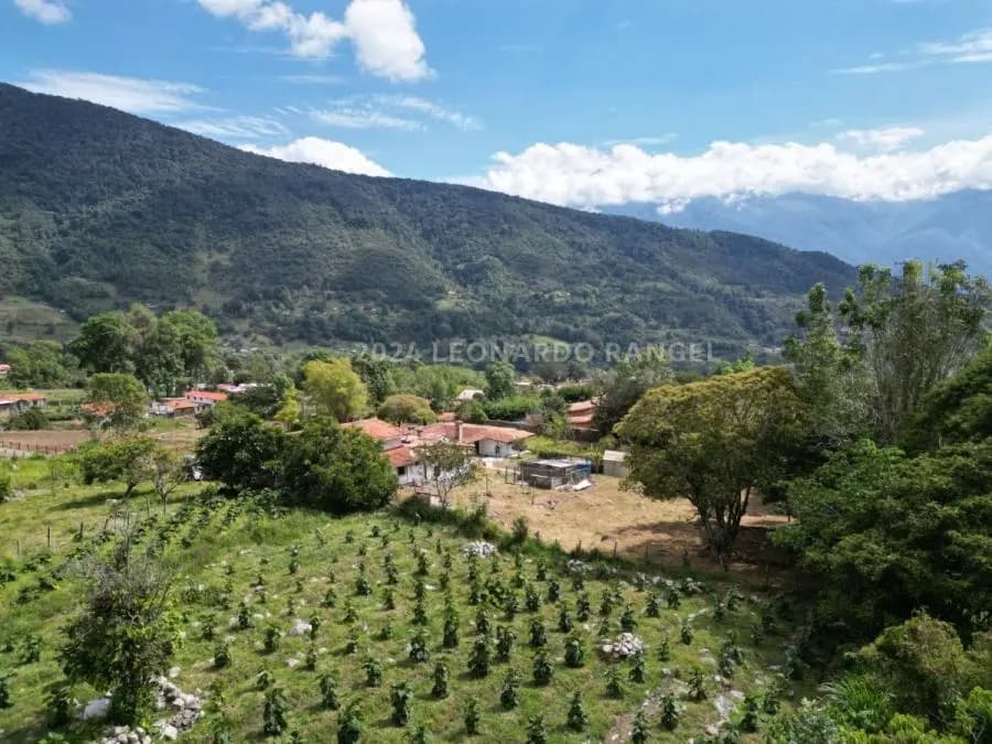 Terreno en Venta en El Valle, Mérida - 6