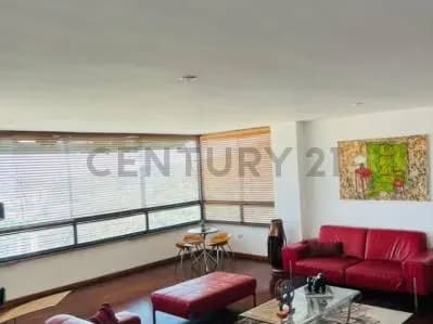 penthouse valencia el parral - 7