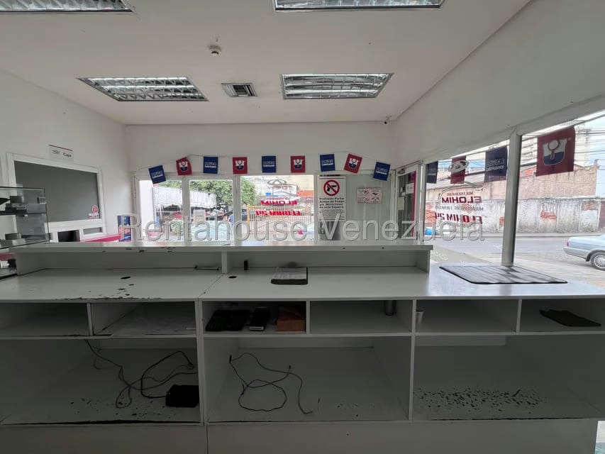 Comercial (Galpon - Deposito) en Venta en Zona Centro, Aragua - 41
