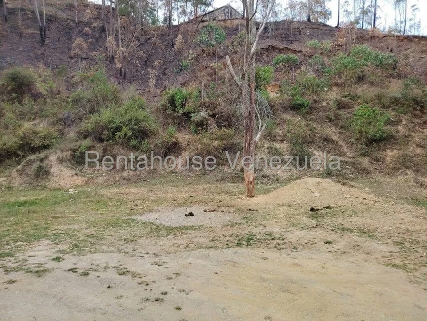 Terreno (Residencial) en Venta en Colinas de Carrizal, Miranda - 11