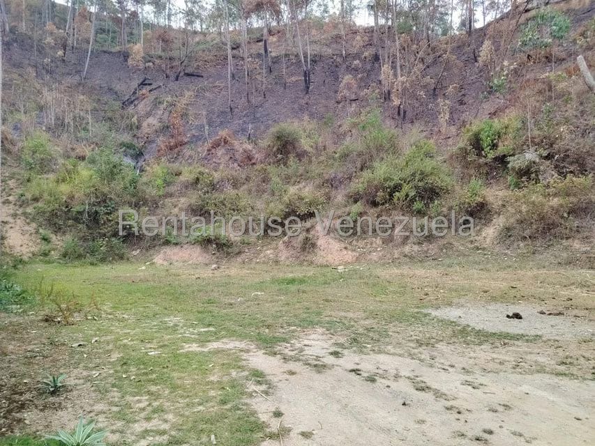 Terreno (Residencial) en Venta en Colinas de Carrizal, Miranda - 5