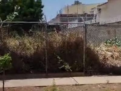 Vendo Terreno Urb Los Olivos, a pocos metros de Av. La Limpia - 6