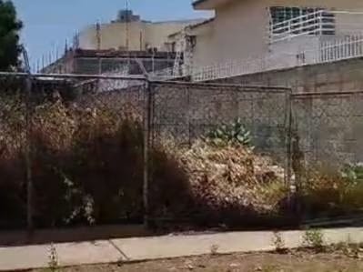 Vendo Terreno Urb Los Olivos, a pocos metros de Av. La Limpia - 7