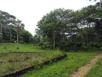 finca en venta las lapas - 3