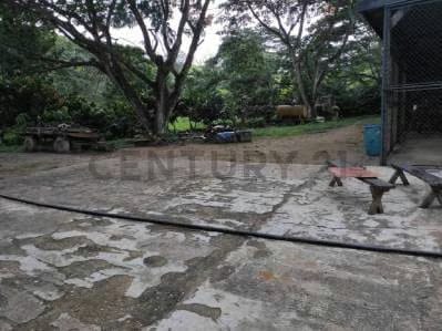 finca en venta las lapas - 4