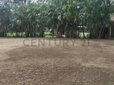 finca en venta las lapas - 5